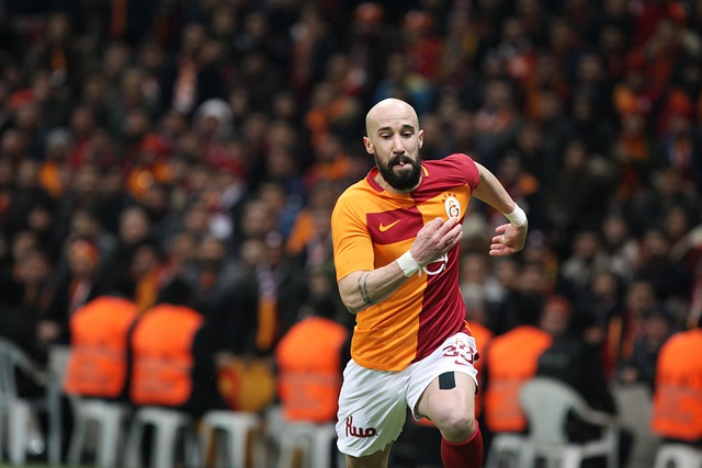 支球隊敲定 支球隊敲定