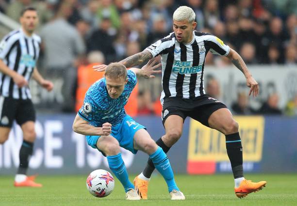 动态的球迷 动态的球迷